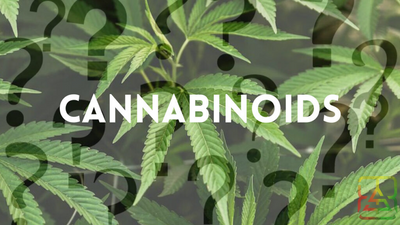 What You Really Need to Know About Delta-8 THC and Other Cannabinoids