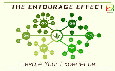 Delta-8-THC and the Entourage Effect